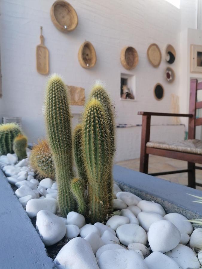 Afrodite Luxury Rooms Telendos Exterior foto